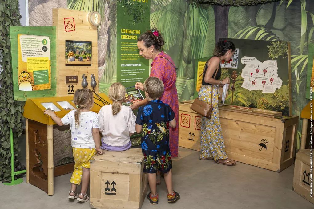 Expo temporaire As de la jungle 